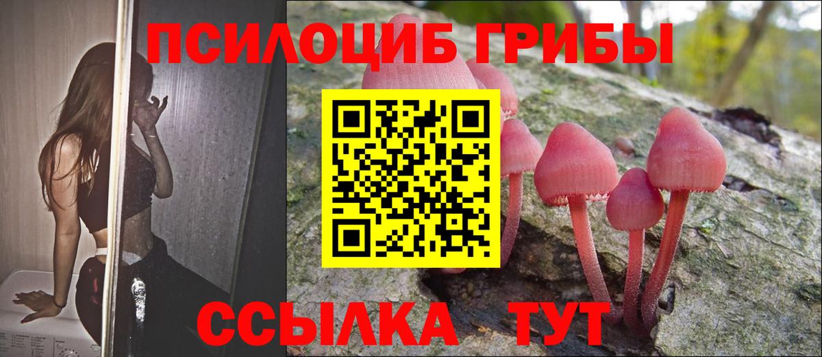 Псилоцибиновые грибы Psilocybe Лангепас